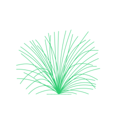 Plants Shrubs Blue Fescue Sticker Svg Vector, Free Vectors File